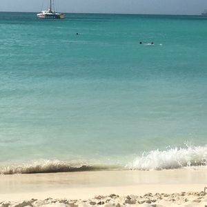 Meet your Posher, Pepper